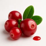 Cranberry 250 mg 30 Doses
