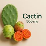 CACTIN 500MG 30 Doses EC