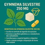 GYMNEMA SILVESTRE 250MG 30Doses EC