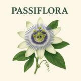 Passiflora 300 mg 30 Doses